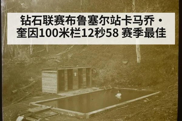 钻石联赛布鲁塞尔站卡马乔·奎因100米栏12秒58 赛季最佳